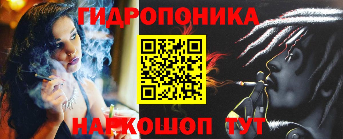 Шишки марихуана марихуана Сыктывкар